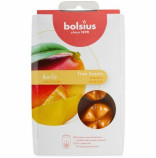Bolsius True Scents Wax Melt Mango - nhradn vonn vosk 6ks