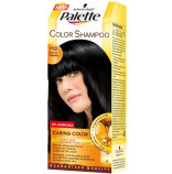 Palette Color Shampoo ern 113
